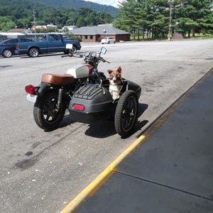 Meet your Posher, Gladys